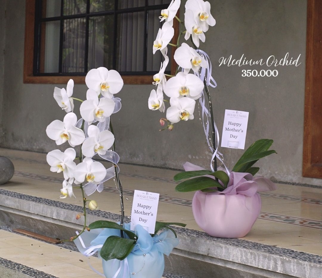 Medium Single Orchid