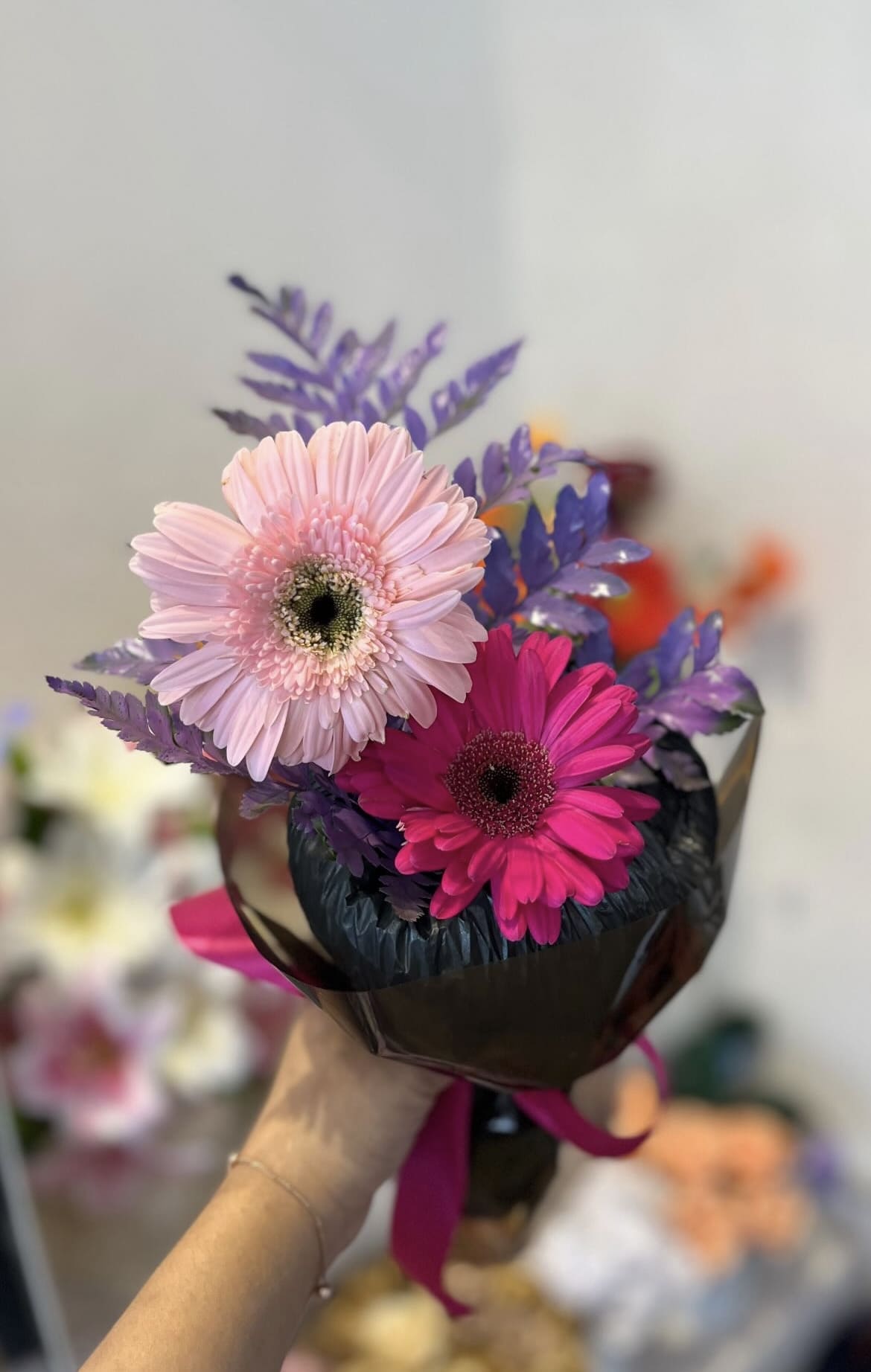 Gerbera purplish